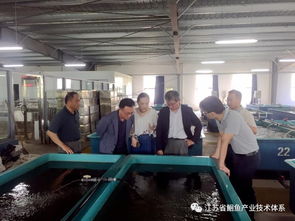日韓專家訪問江蘇省淡水水產(chǎn)研究所揚(yáng)中基地，共促水產(chǎn)技術(shù)交流與合作